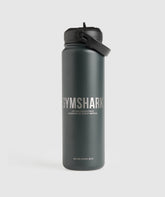 Metal Insulated Straw Bottle 700ml