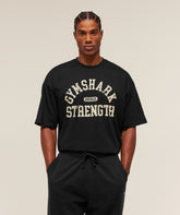 2012 Strength T-Shirt