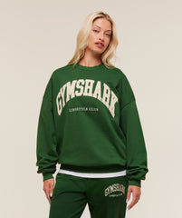 Collegiate Graphic Crew Neck Pullover