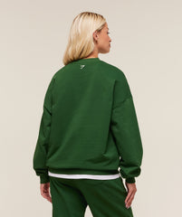 Collegiate Graphic Crew Neck Pullover