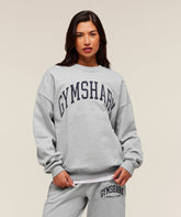 Collegiate Graphic Crew Neck Pullover