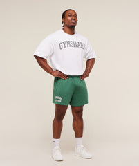 Lifting Mesh 5" Shorts