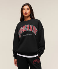 Collegiate Graphic Crew Neck Pullover