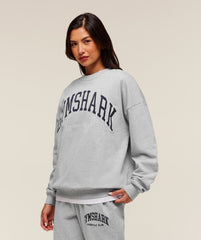 Collegiate Graphic Crew Neck Pullover